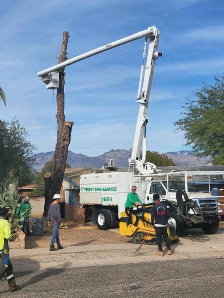 Finest Tree Service