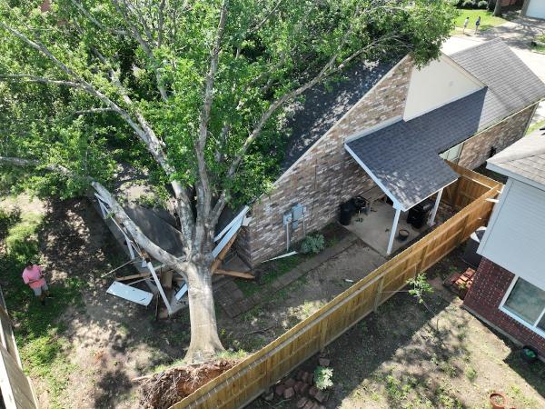 Old Tree Service