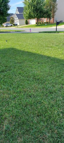 Precision Lawn & Landscape
