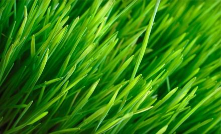 Precision Lawn & Landscape