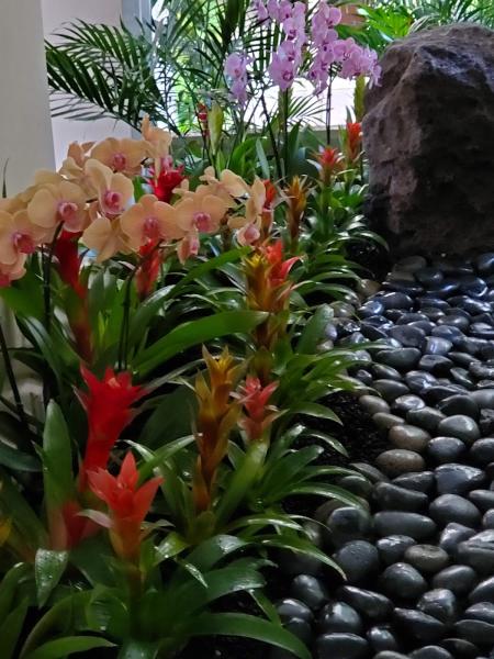 Landscape Hawaii