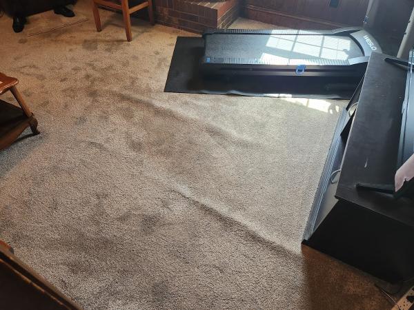 Pinnacle Carpet Care