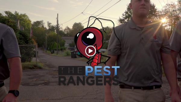 The Pest Rangers: Termite and Pest Control; Bed Bug Control