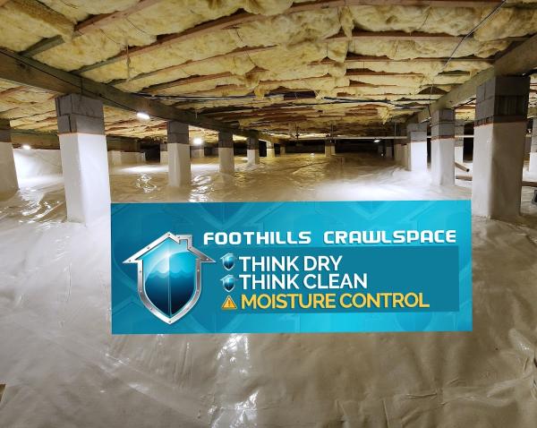 Foothills Crawlspace