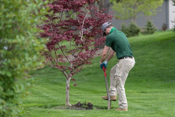 Arboristry Associates
