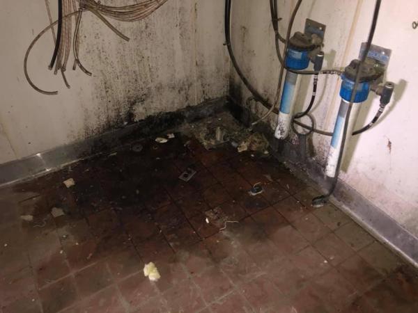 Flood Warriors Water Damage Restoration