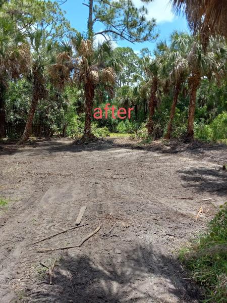 Bsl Landscaping and Construction Llc