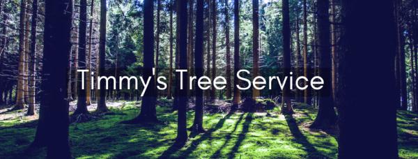 Timmy's Tree Service