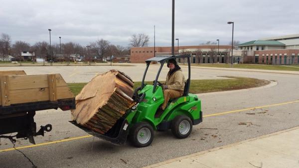 Halo Tree Service