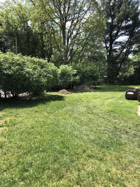 Halo Tree Service