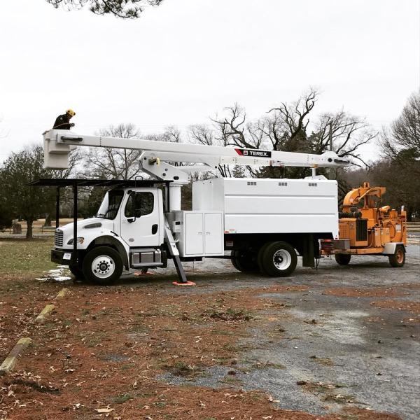 Adam's Tree Care Inc.