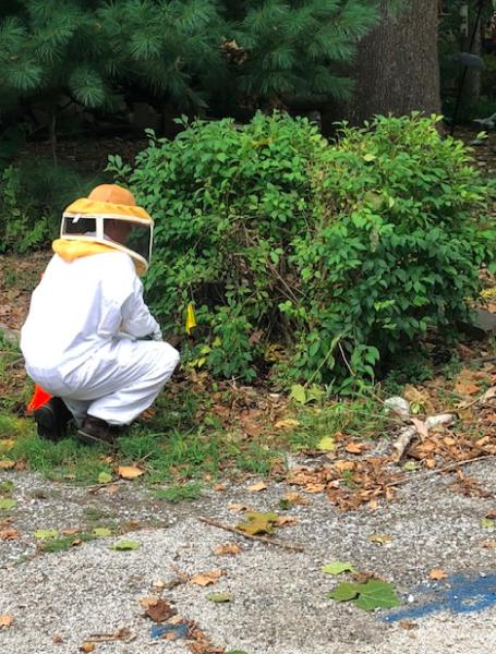 Pointe Pest Control
