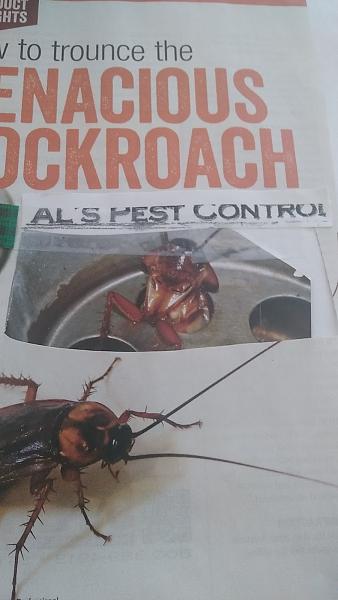Al's j and c Pest Control