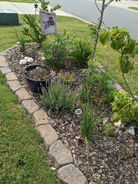 A Women's Touch Landscaping
