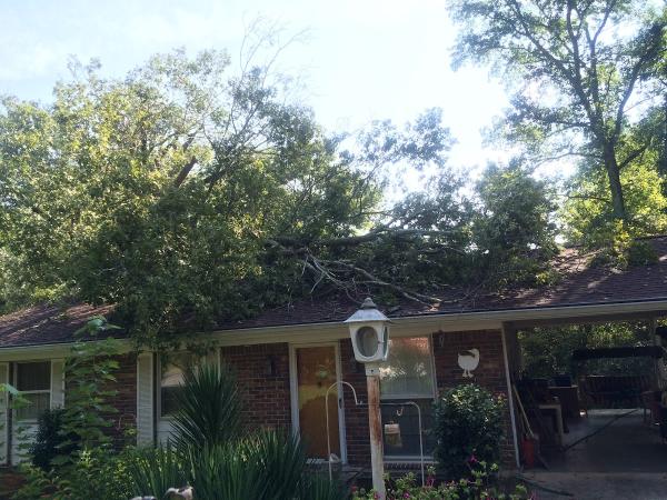 Ricky's Tree Services