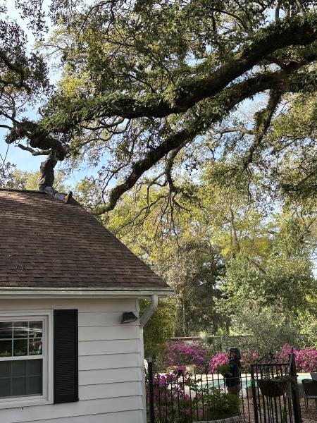 Miller's Tree Service