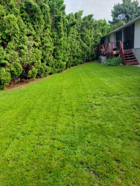 Paz Landscape & Lawn Care LLC