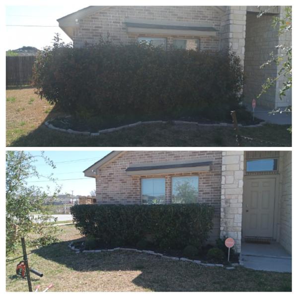 Gibson's Competitive Lawn Care LLC
