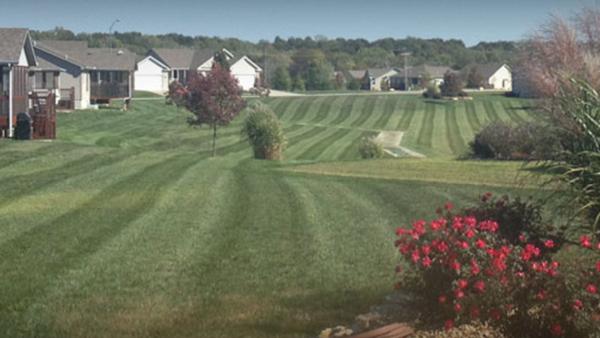 Rob's Lawn Mowing Inc.