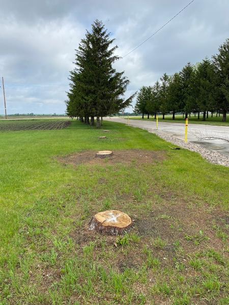 Iowa Stump Thumpers