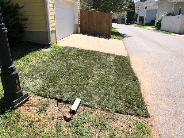 Lawn Asheville ~ Mowing