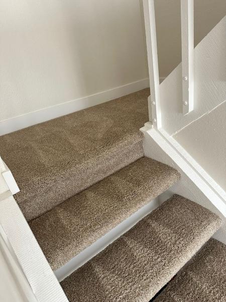 Dr. Carpet