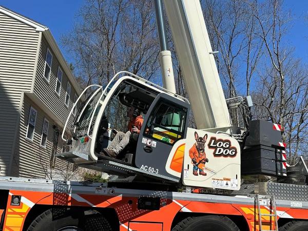 All-Pro Tree Service