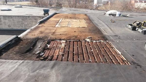 For Sure Roofing