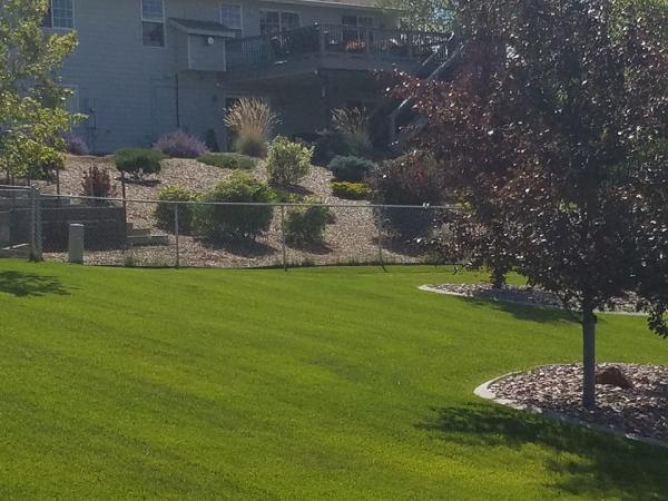 Liberty Lawn Service
