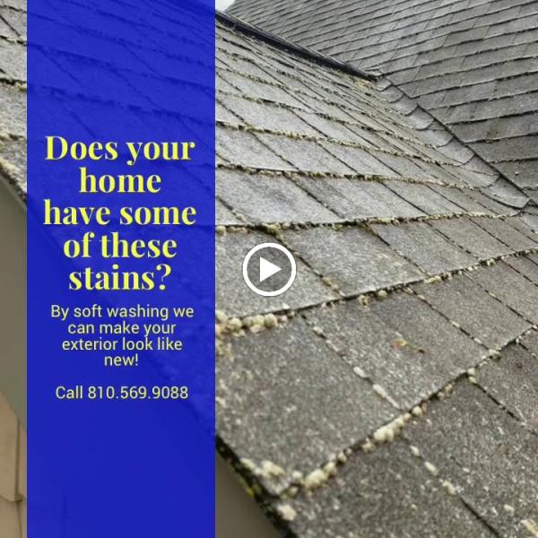 Revive Exterior Home Care