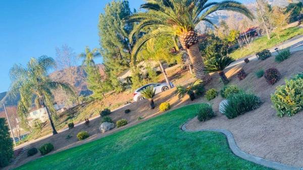 Lorenzo's Tree Service and Landscaping Service in Upland Ca