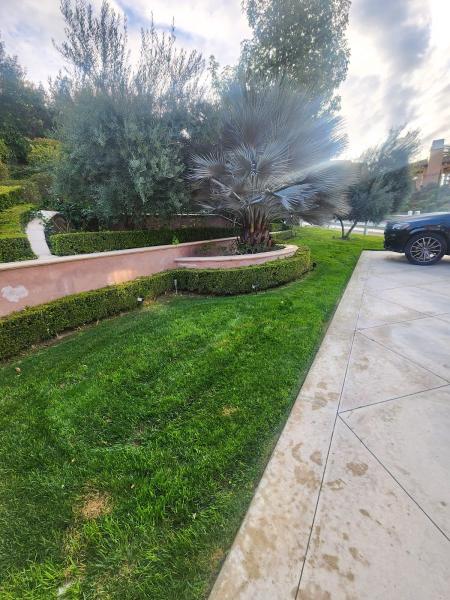 Lorenzo's Tree Service and Landscaping Service in Upland Ca