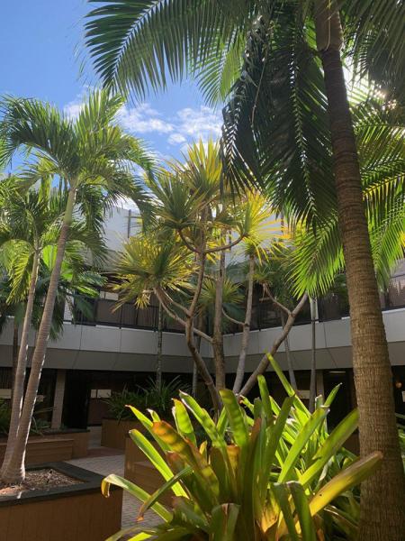 First Florida Realty