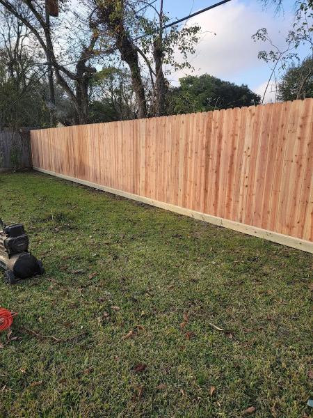Boni Tree Service & Stump Grinding