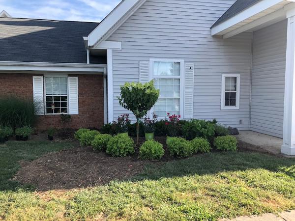 Eddybrook Tree Farm & Landscaping