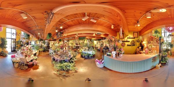 Cohlmia's the Plant Place