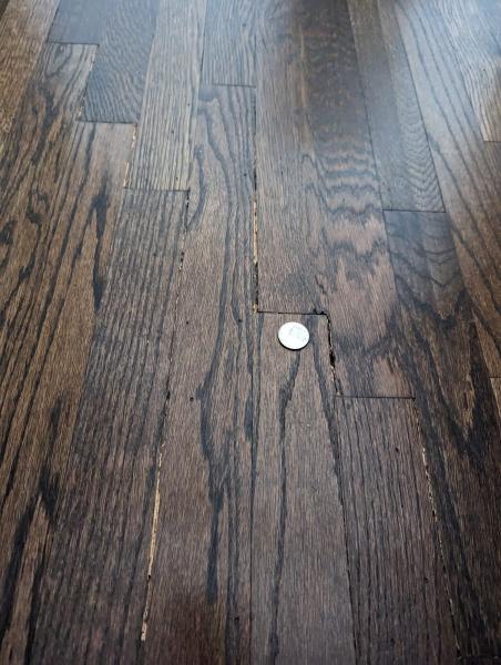 Absolute Hardwood Floors