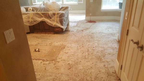 Absolute Hardwood Floors