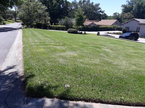 FL Integral Services LLC