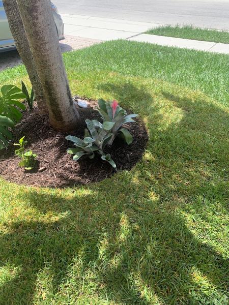 Native Sun Landscape Services