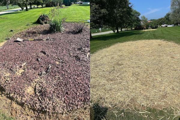 Korb's Lawn Care