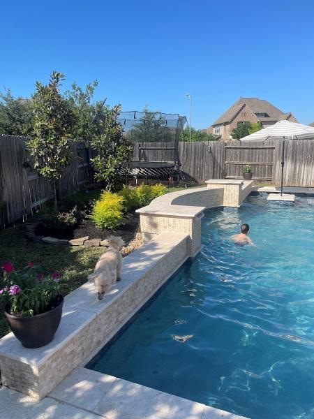 Backyard Luxuries