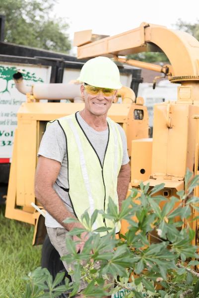 Treescapes Tree Removal Services