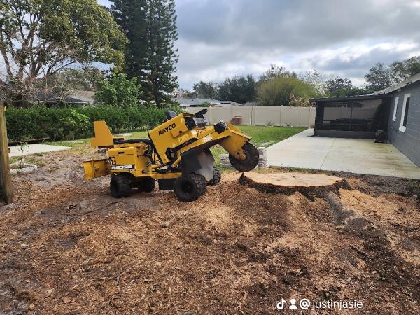 Cheap Guy Tree and Stump Removal
