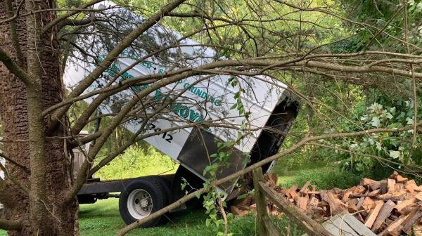 D&D Tree Removal