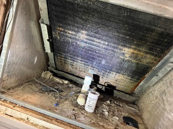 Germ Masters Environmental