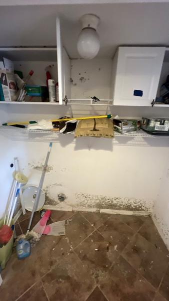 Germ Masters Environmental