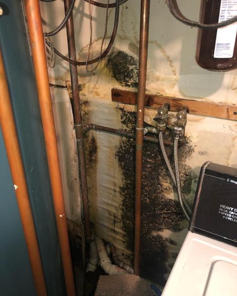 MB Home Inspections Inc.