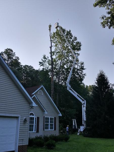 Belcher Tree Service