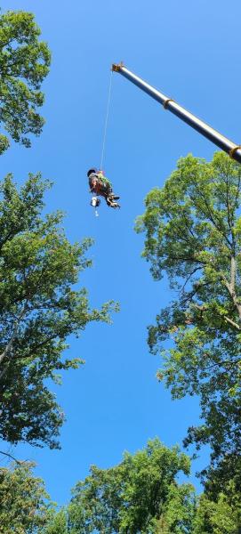 ABR Tree Service LLC